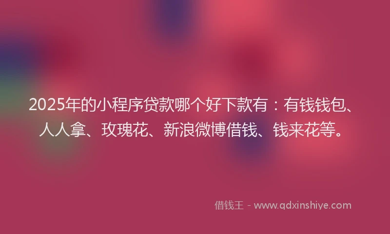 2025年的小程序贷款哪个好下款有：有钱钱包、人人拿、玫瑰花、新浪微博借钱、钱来花等。