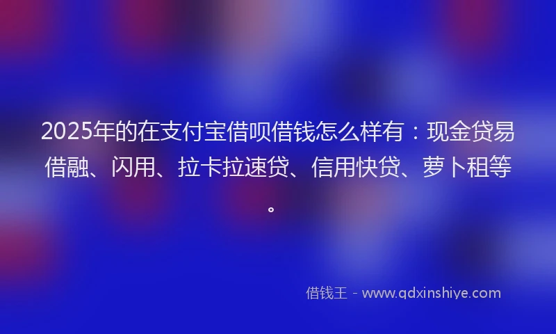 2025年的在支付宝借呗借钱怎么样有：现金贷易借融、闪用、拉卡拉速贷、信用快贷、萝卜租等。