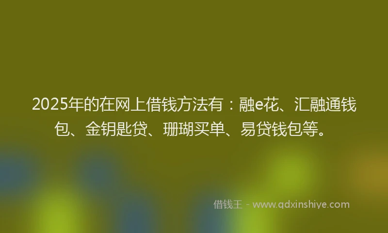 2025年的在网上借钱方法有：融e花、汇融通钱包、金钥匙贷、珊瑚买单、易贷钱包等。
