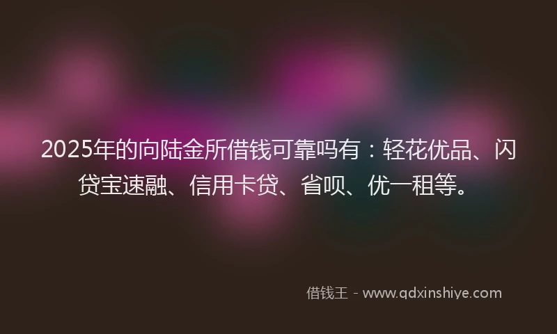 2025年的向陆金所借钱可靠吗有：轻花优品、闪贷宝速融、信用卡贷、省呗、优一租等。