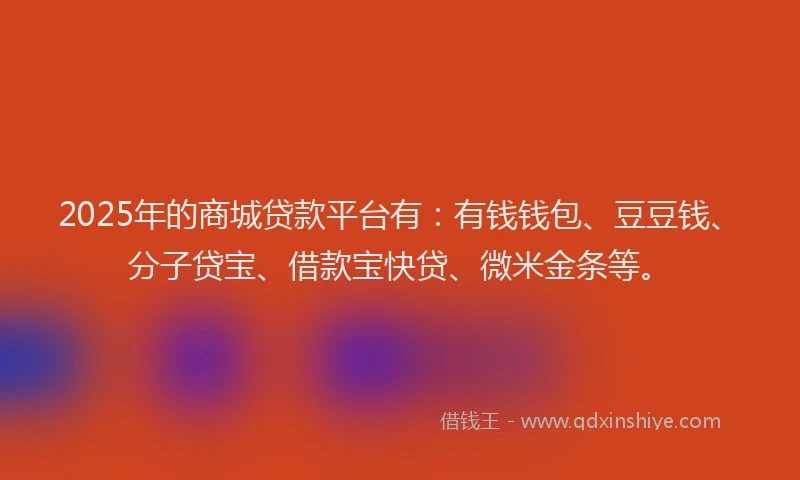 2025年的商城贷款平台有：有钱钱包、豆豆钱、分子贷宝、借款宝快贷、微米金条等。