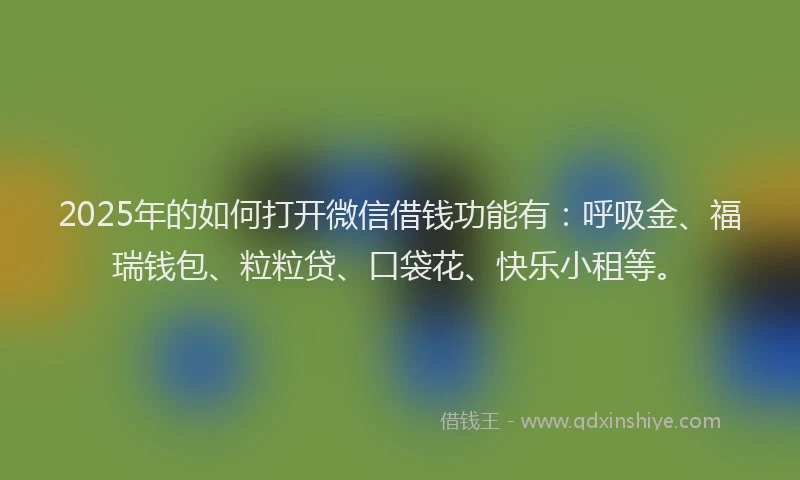 2025年的如何打开微信借钱功能有：呼吸金、福瑞钱包、粒粒贷、口袋花、快乐小租等。