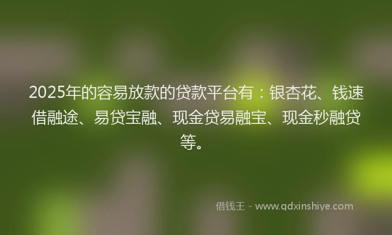 2025年的容易放款的贷款平台有：银杏花、钱速借融途、易贷宝融、现金贷易融宝、现金秒融贷等。
