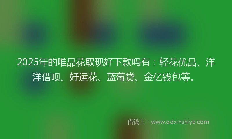 2025年的唯品花取现好下款吗有：轻花优品、洋洋借呗、好运花、蓝莓贷、金亿钱包等。