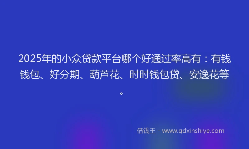 2025年的小众贷款平台哪个好通过率高有：有钱钱包、好分期、葫芦花、时时钱包贷、安逸花等。