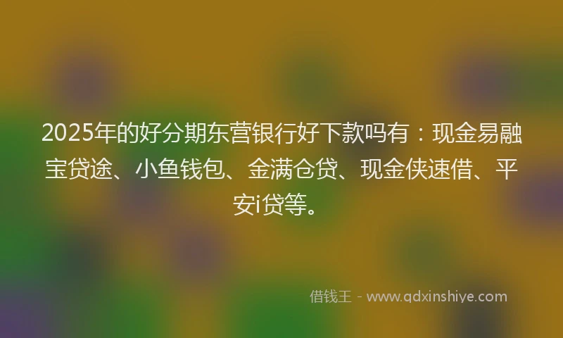 2025年的好分期东营银行好下款吗有：现金易融宝贷途、小鱼钱包、金满仓贷、现金侠速借、平安i贷等。