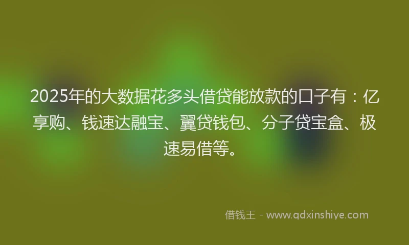 2025年的大数据花多头借贷能放款的口子有：亿享购、钱速达融宝、翼贷钱包、分子贷宝盒、极速易借等。
