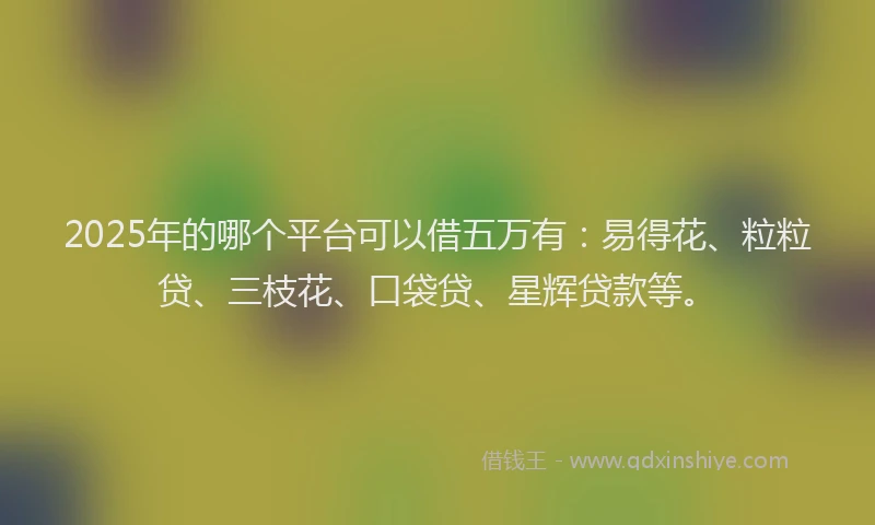 2025年的哪个平台可以借五万有：易得花、粒粒贷、三枝花、口袋贷、星辉贷款等。