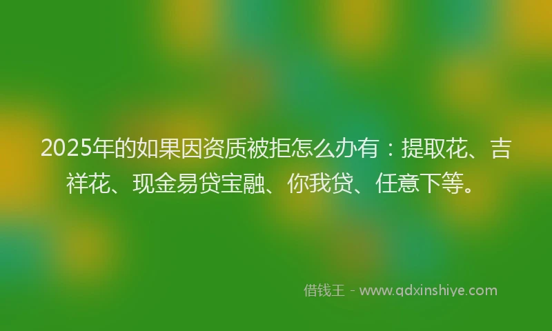 2025年的如果因资质被拒怎么办有：提取花、吉祥花、现金易贷宝融、你我贷、任意下等。