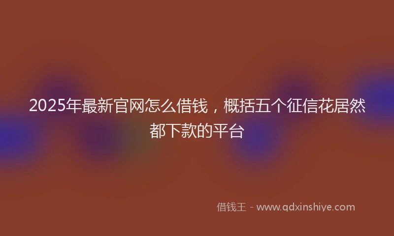 2025年最新官网怎么借钱，概括五个征信花居然都下款的平台