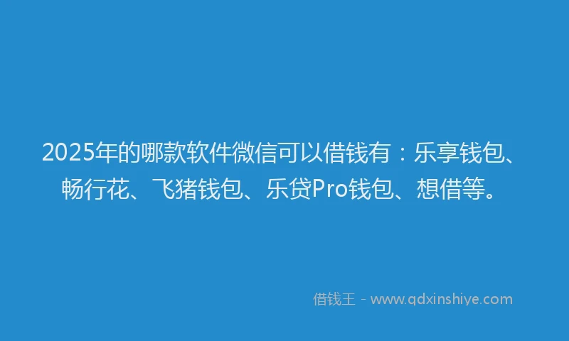 2025年的哪款软件微信可以借钱有：乐享钱包、畅行花、飞猪钱包、乐贷Pro钱包、想借等。