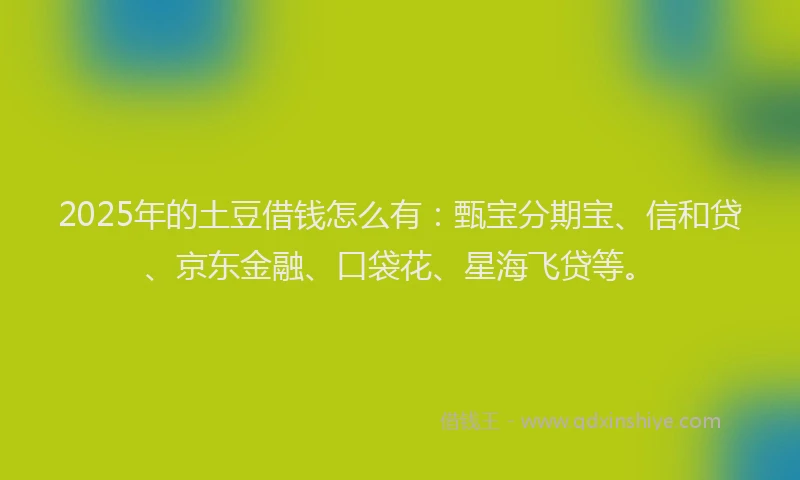 2025年的土豆借钱怎么有：甄宝分期宝、信和贷、京东金融、口袋花、星海飞贷等。
