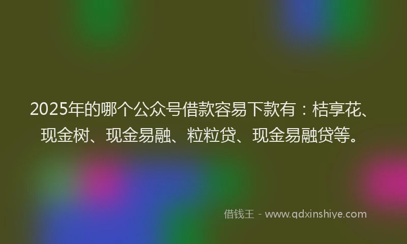 2025年的哪个公众号借款容易下款有：桔享花、现金树、现金易融、粒粒贷、现金易融贷等。