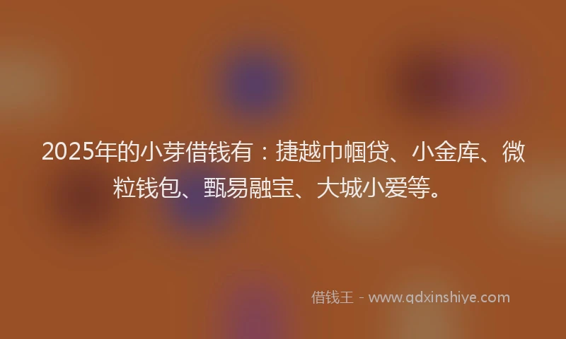 2025年的小芽借钱有：捷越巾帼贷、小金库、微粒钱包、甄易融宝、大城小爱等。