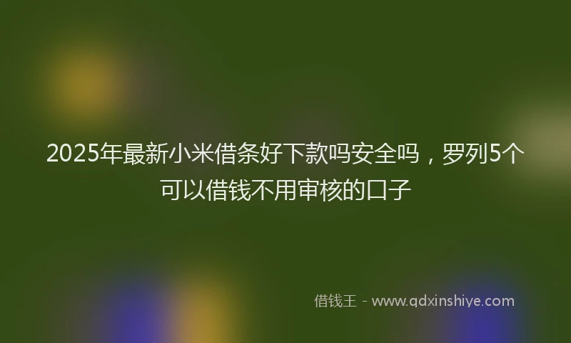 2025年最新小米借条好下款吗安全吗，罗列5个可以借钱不用审核的口子