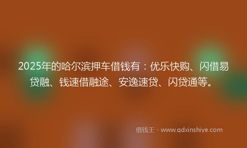 2025年的哈尔滨押车借钱有：优乐快购、闪借易贷融、钱速借融途、安逸速贷、闪贷通等。