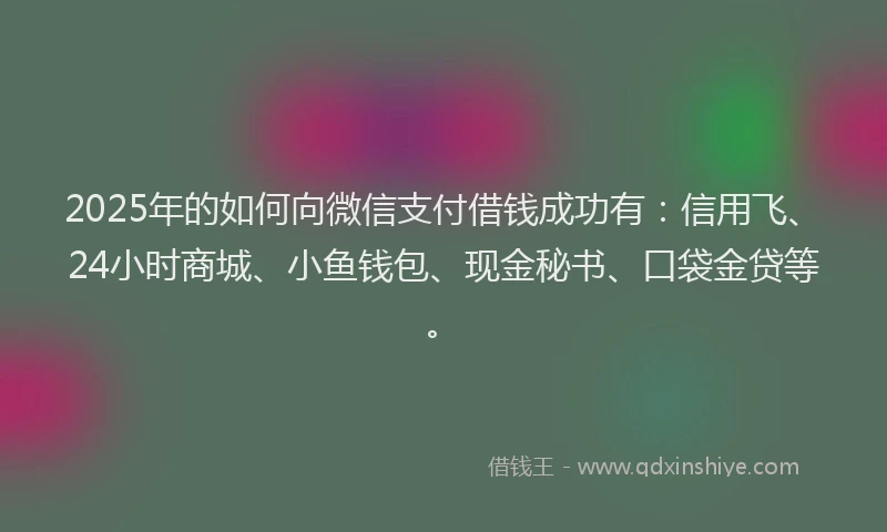 2025年的如何向微信支付借钱成功有：信用飞、24小时商城、小鱼钱包、现金秘书、口袋金贷等。