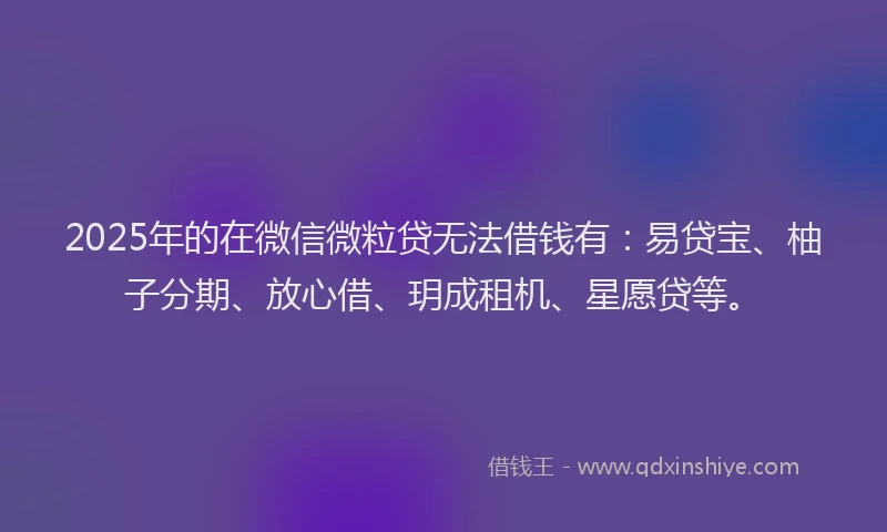 2025年的在微信微粒贷无法借钱有：易贷宝、柚子分期、放心借、玥成租机、星愿贷等。