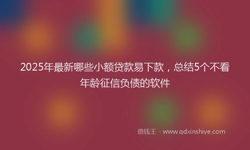 2025年最新哪些小额贷款易下款，总结5个不看年龄征信负债的软件