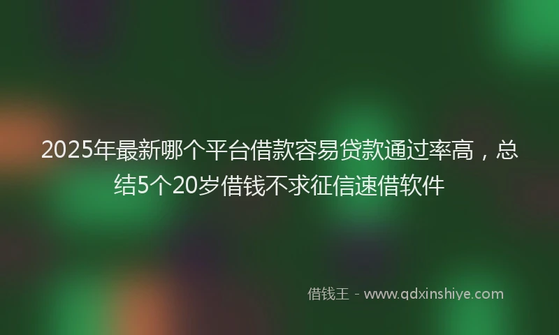 2025年最新哪个平台借款容易贷款通过率高，总结5个20岁借钱不求征信速借软件