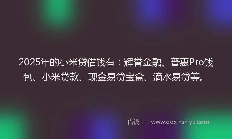 2025年的小米贷借钱有：辉誉金融、普惠Pro钱包、小米贷款、现金易贷宝盒、滴水易贷等。