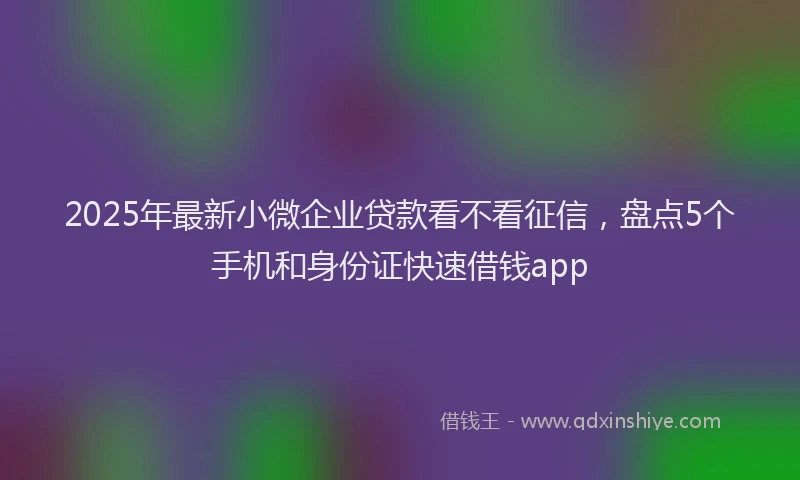 2025年最新小微企业贷款看不看征信，盘点5个手机和身份证快速借钱app