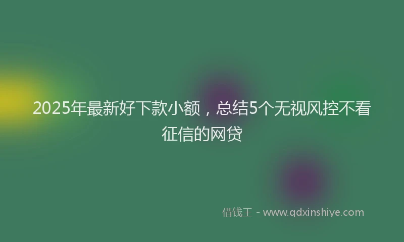 2025年最新好下款小额，总结5个无视风控不看征信的网贷