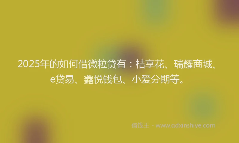 2025年的如何借微粒贷有：桔享花、瑞耀商城、e贷易、鑫悦钱包、小爱分期等。