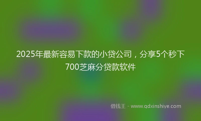 2025年最新容易下款的小贷公司，分享5个秒下700芝麻分贷款软件