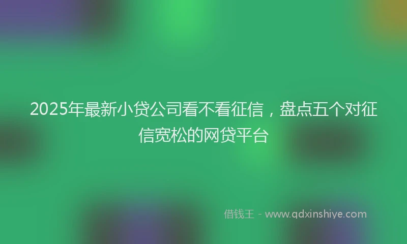 2025年最新小贷公司看不看征信，盘点五个对征信宽松的网贷平台