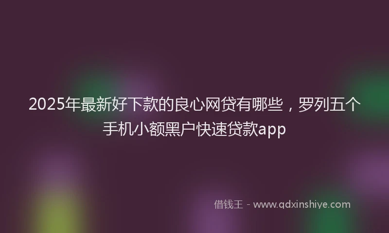 2025年最新好下款的良心网贷有哪些，罗列五个手机小额黑户快速贷款app