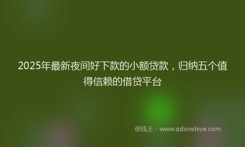 2025年最新夜间好下款的小额贷款，归纳五个值得信赖的借贷平台