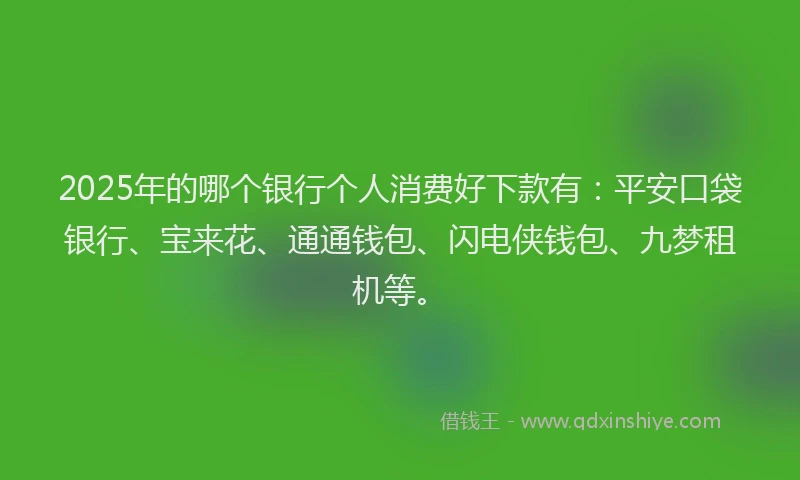 2025年的哪个银行个人消费好下款有：平安口袋银行、宝来花、通通钱包、闪电侠钱包、九梦租机等。