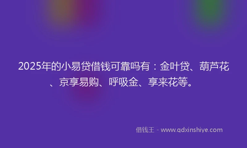 2025年的小易贷借钱可靠吗有：金叶贷、葫芦花、京享易购、呼吸金、享来花等。