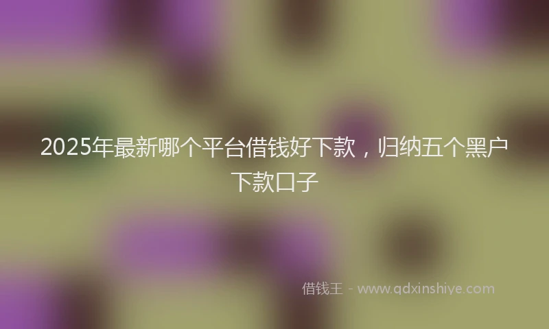 2025年最新哪个平台借钱好下款,归纳五个黑户下款口子