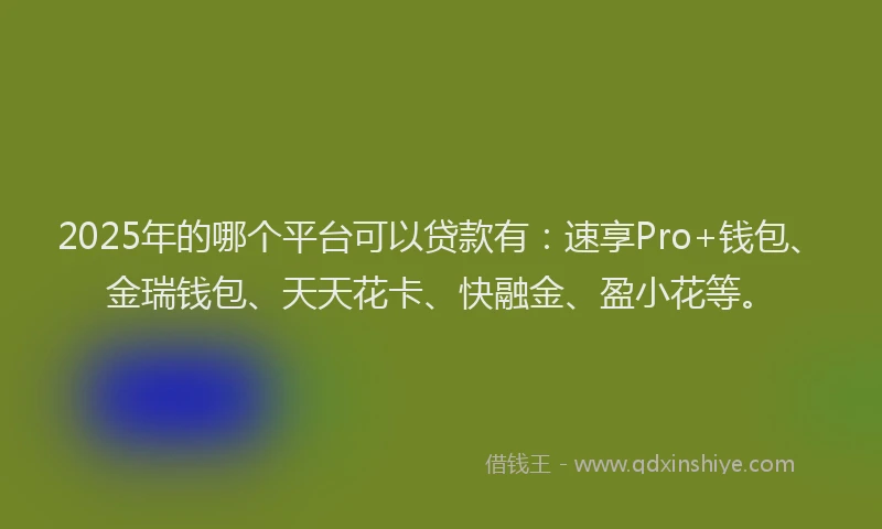 2025年的哪个平台可以贷款有：速享Pro+钱包、金瑞钱包、天天花卡、快融金、盈小花等。