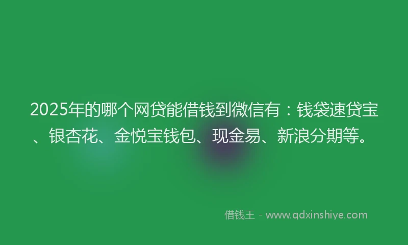 2025年的哪个网贷能借钱到微信有：钱袋速贷宝、银杏花、金悦宝钱包、现金易、新浪分期等。