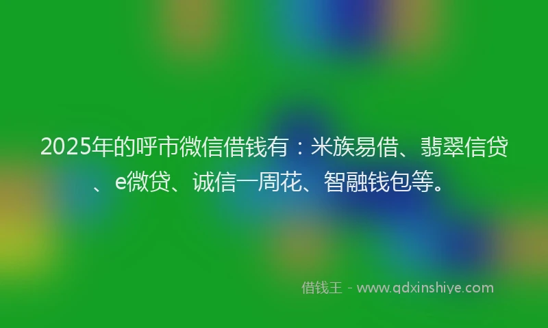 2025年的呼市微信借钱有：米族易借、翡翠信贷、e微贷、诚信一周花、智融钱包等。