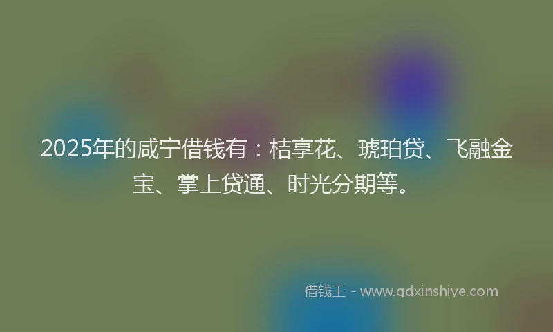 2025年的咸宁借钱有：桔享花、琥珀贷、飞融金宝、掌上贷通、时光分期等。