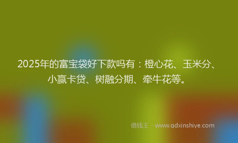 2025年的富宝袋好下款吗有：橙心花、玉米分、小赢卡贷、树融分期、牵牛花等。