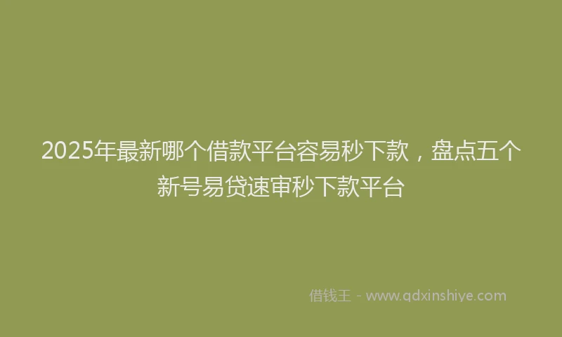 2025年最新哪个借款平台容易秒下款，盘点五个新号易贷速审秒下款平台
