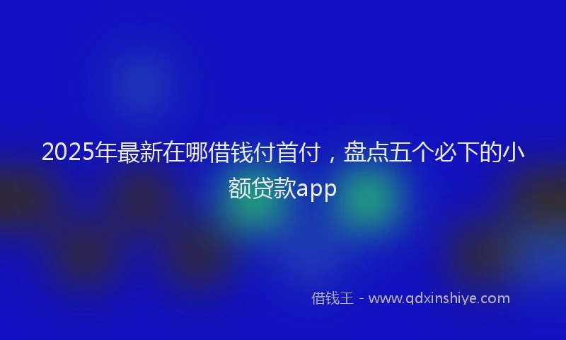 2025年最新在哪借钱付首付，盘点五个必下的小额贷款app