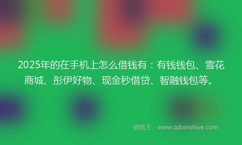 2025年的在手机上怎么借钱有：有钱钱包、雪花商城、彤伊好物、现金秒借贷、智融钱包等。