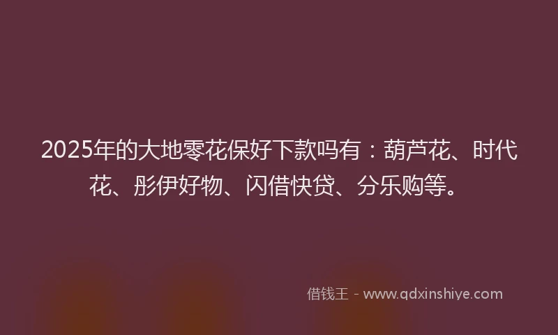 2025年的大地零花保好下款吗有：葫芦花、时代花、彤伊好物、闪借快贷、分乐购等。