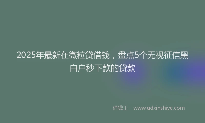 2025年最新在微粒贷借钱，盘点5个无视征信黑白户秒下款的贷款