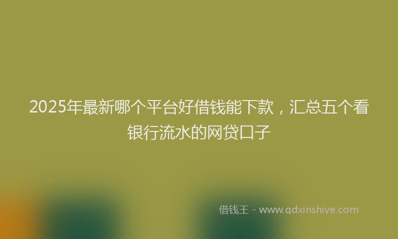 2025年最新哪个平台好借钱能下款，汇总五个看银行流水的网贷口子