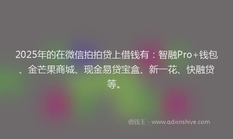 2025年的在微信拍拍贷上借钱有：智融Pro+钱包、金芒果商城、现金易贷宝盒、新一花、快融贷等。
