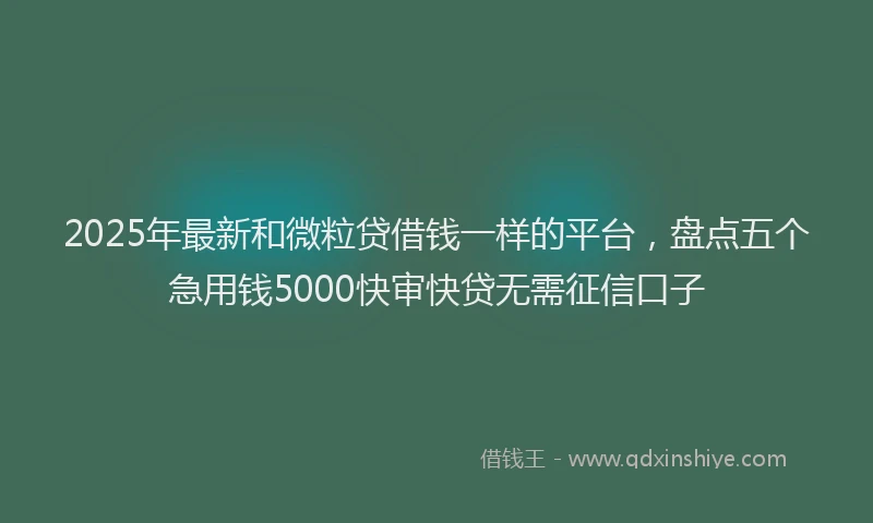 2025年最新和微粒贷借钱一样的平台，盘点五个急用钱5000快审快贷无需征信口子