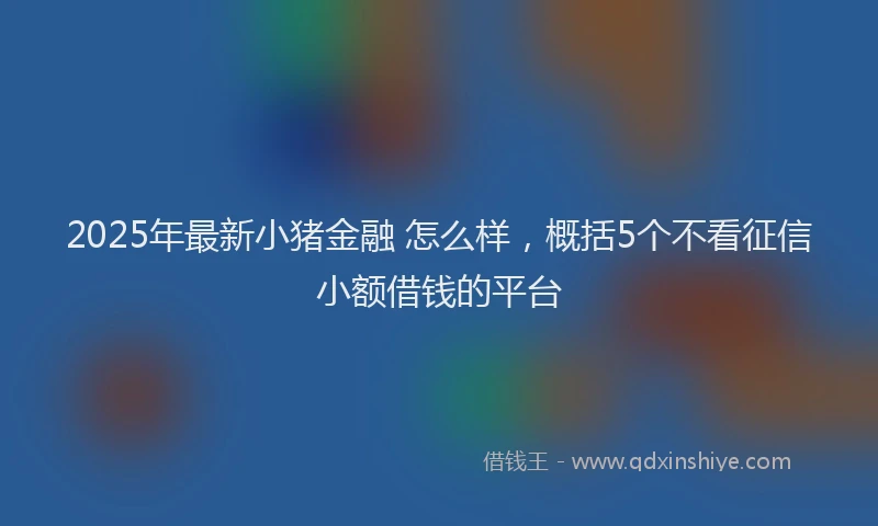 2025年最新小猪金融 怎么样，概括5个不看征信小额借钱的平台