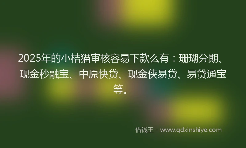 2025年的小桔猫审核容易下款么有：珊瑚分期、现金秒融宝、中原快贷、现金侠易贷、易贷通宝等。